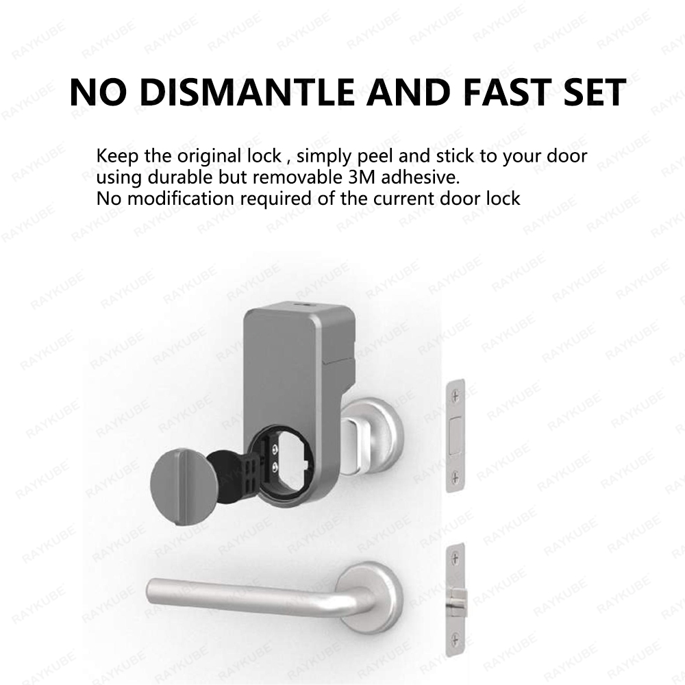 RAYKUBE A1 Pro Tuya BEL Smart  - Fingerprint Access Control Door recensie en prijs