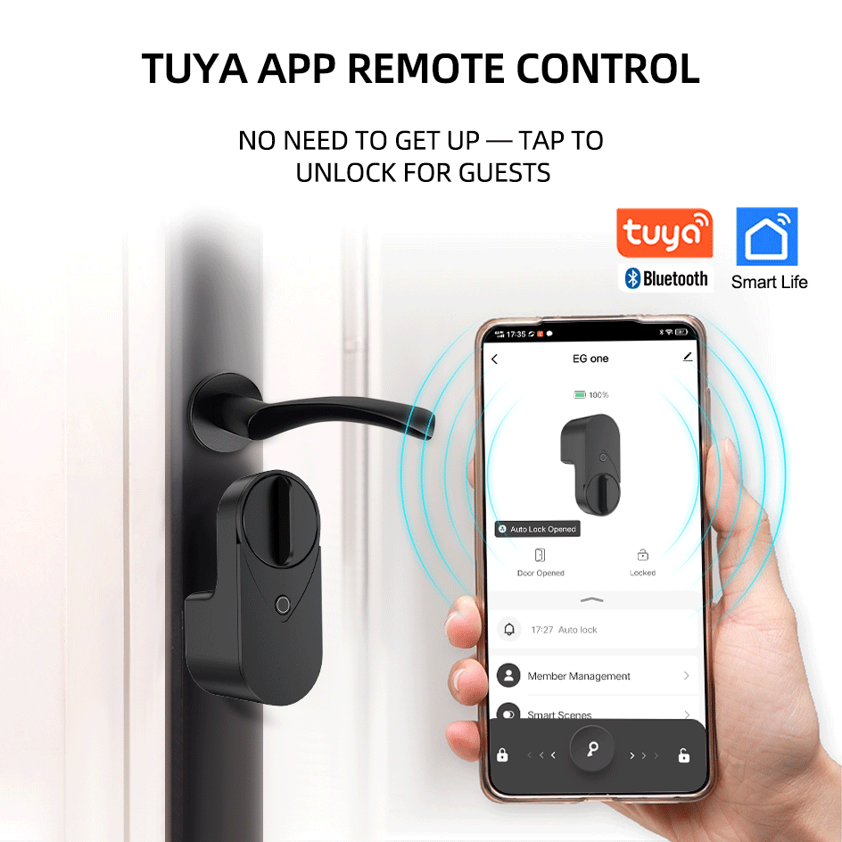 RAYKUBE EG One Tuya BLE Smart  - Fingerprint Access Control Door recensie en prijs