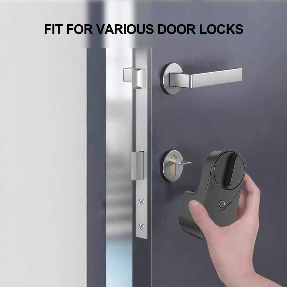 RAYKUBE EG One Tuya BLE Smart  - Fingerprint Access Control Door recensie en prijs