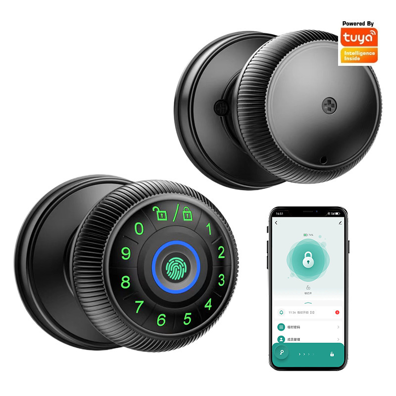 Tuya Wachtwoord Bal Houten Deu - Fingerprint Access Control Door recensie en prijs